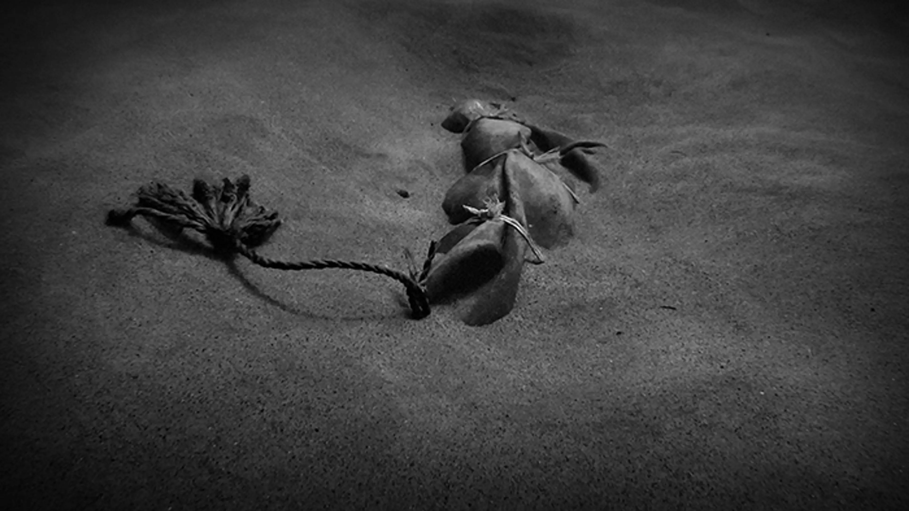 Nikolaj Bendix Skyum Larsen, End of Dreams , 2015, video still, courtesy the artist