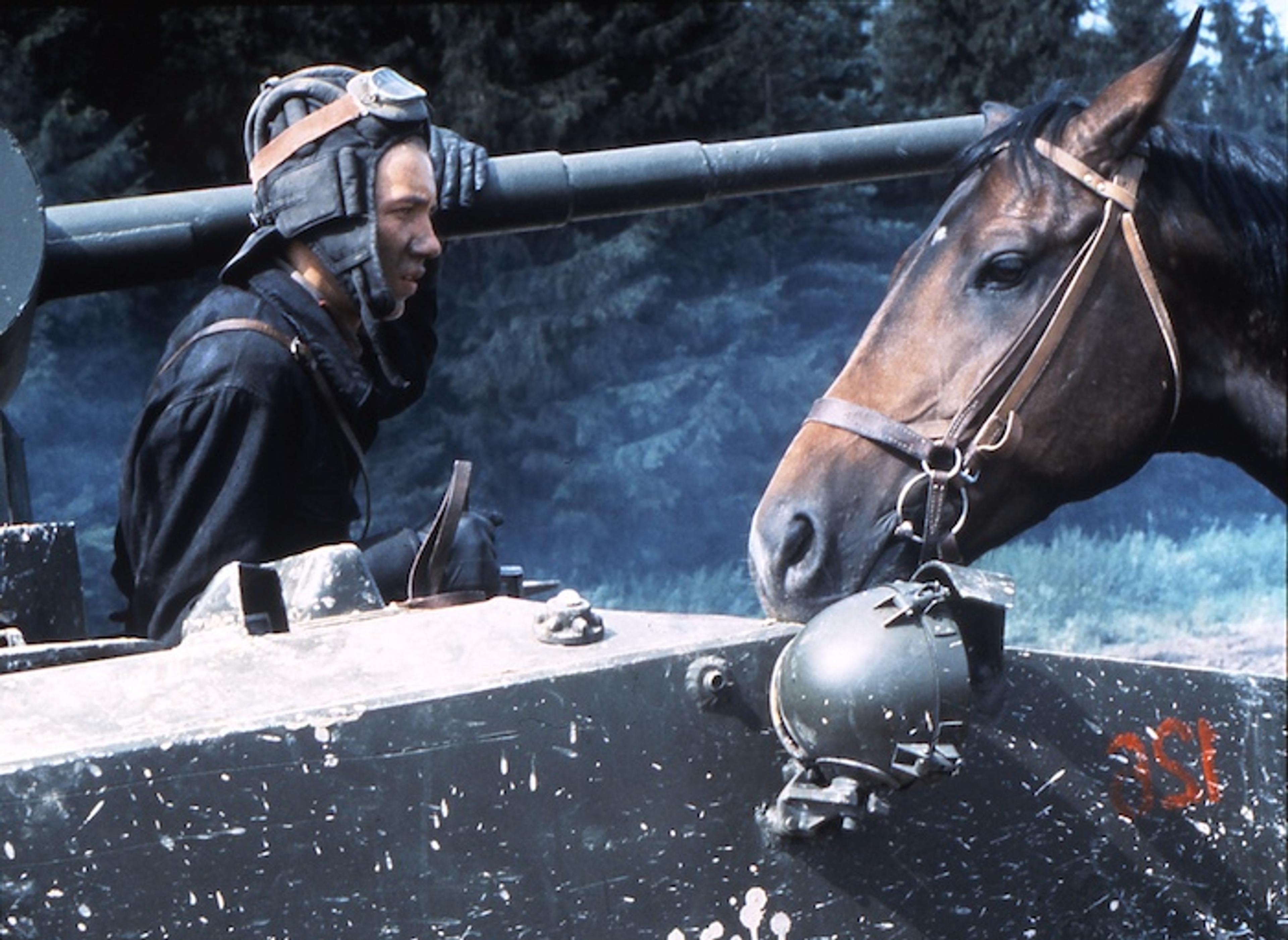 Nikita Mikhalkov, Utomlyonnye solntsem [Güneş Yanığı], 1994