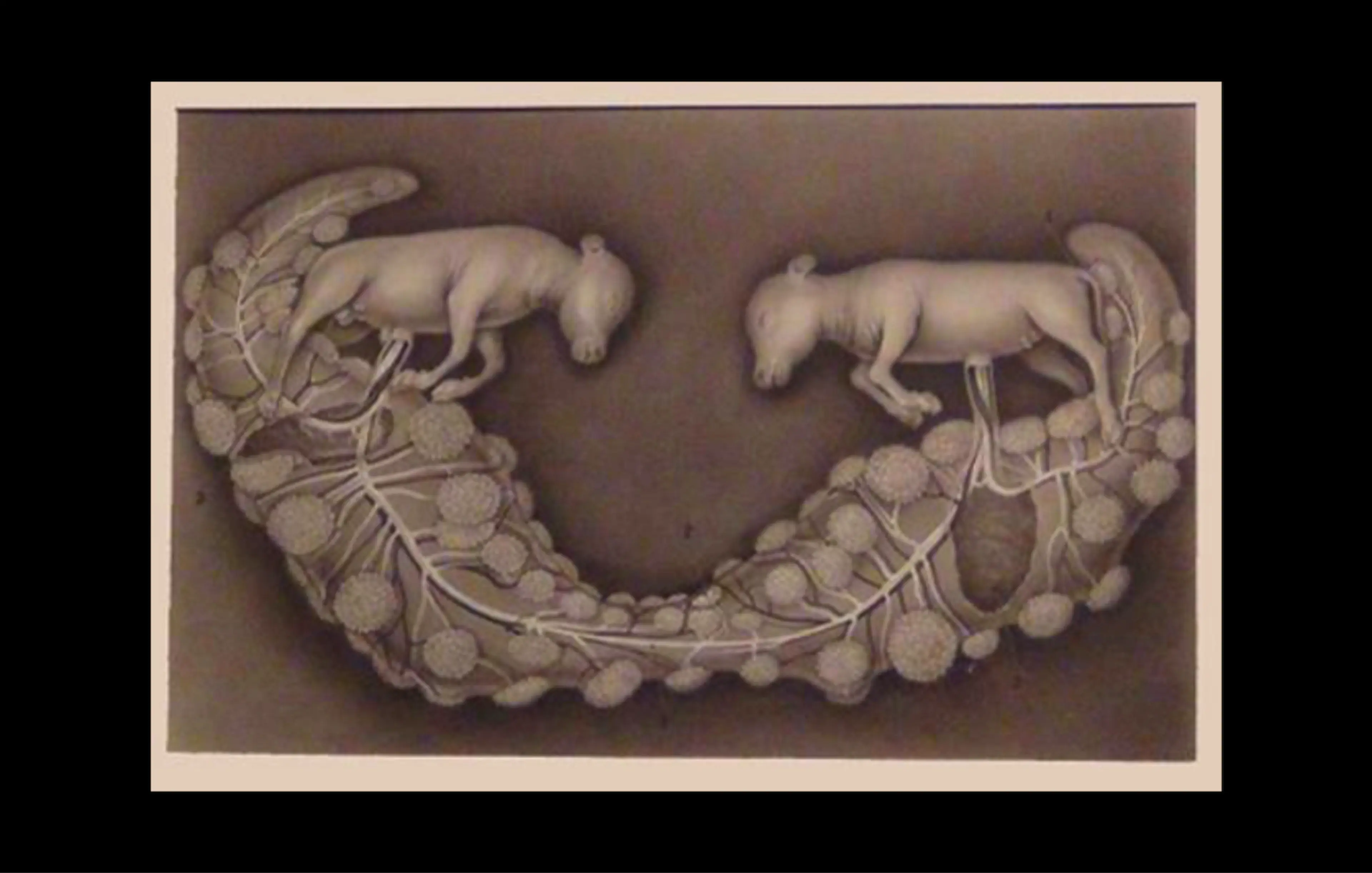 Frank Rottray Lillie's model of the freemartin, by K. Toda (1916) MBLWHOI Library Rare Book Collection