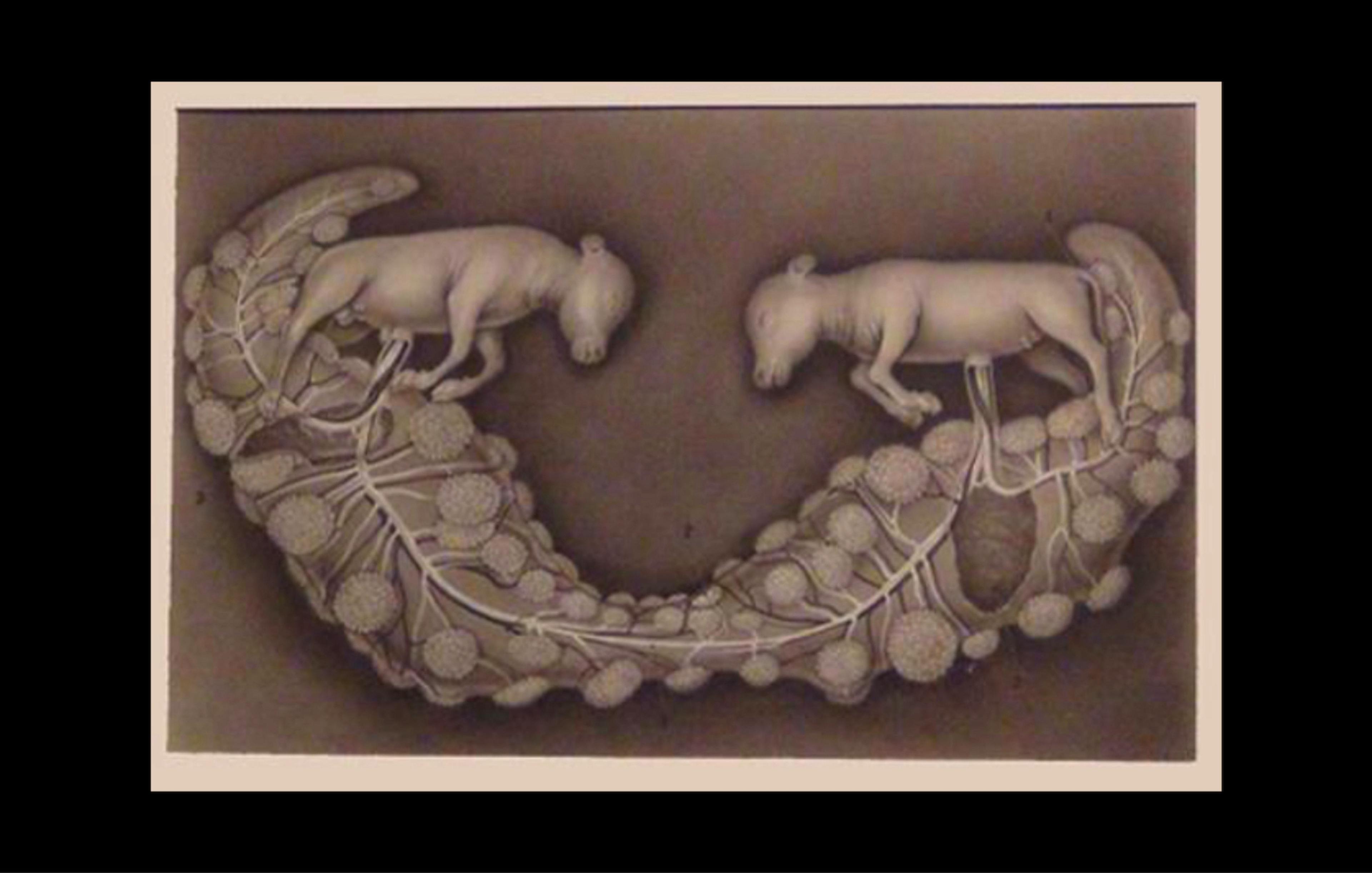 Frank Rottray Lillie's model of the freemartin, by K. Toda (1916) MBLWHOI Library Rare Book Collection