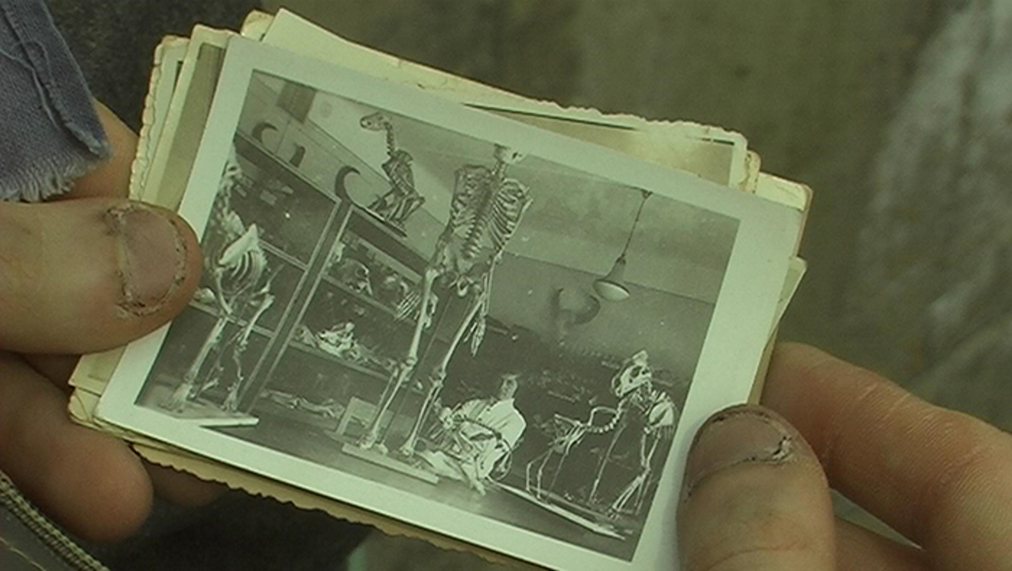 Still from the video Boumont (2006) by Emre Hüner Courtesy the artist, Rodeo Gallery and Collection of Ayşe and Saruhan Doğan
