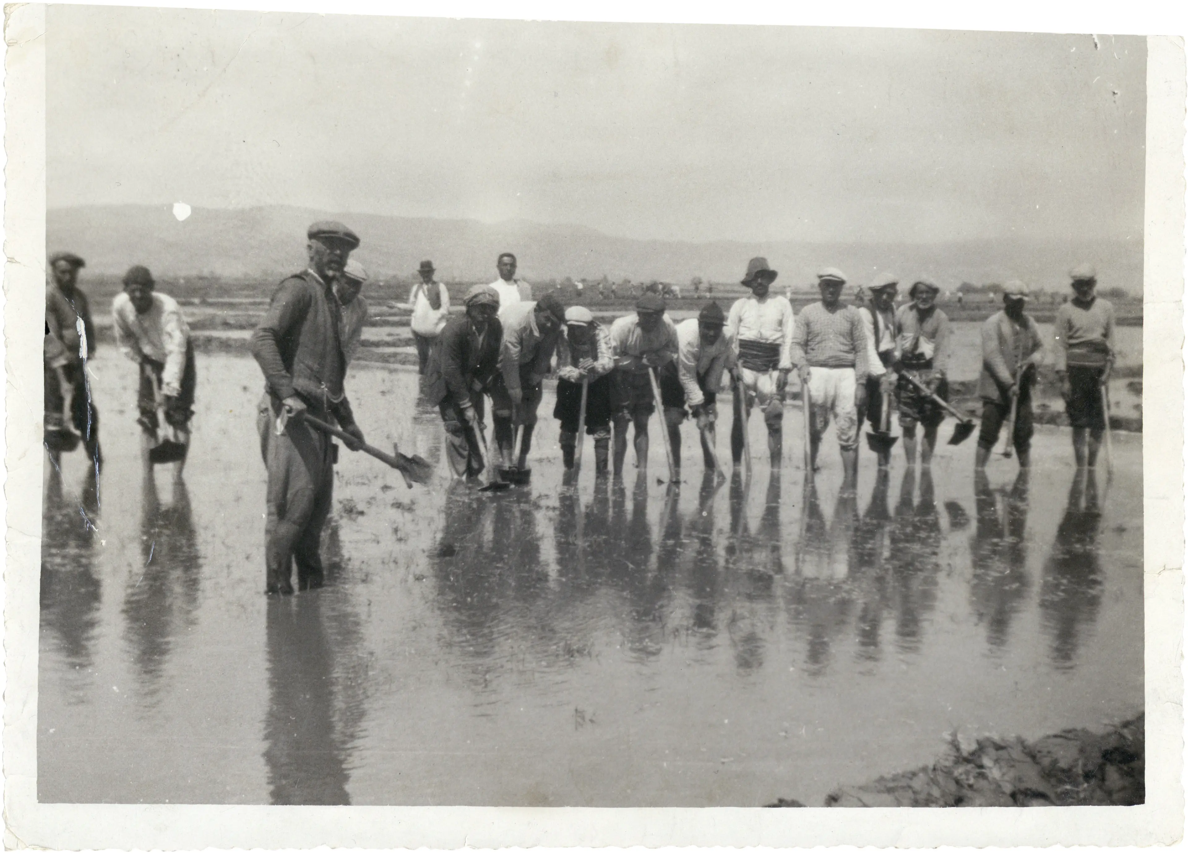Ege’de çeltik ekimi, İzmir Salt Araştırma, Fotoğraf ve Kartpostal Arşivi
