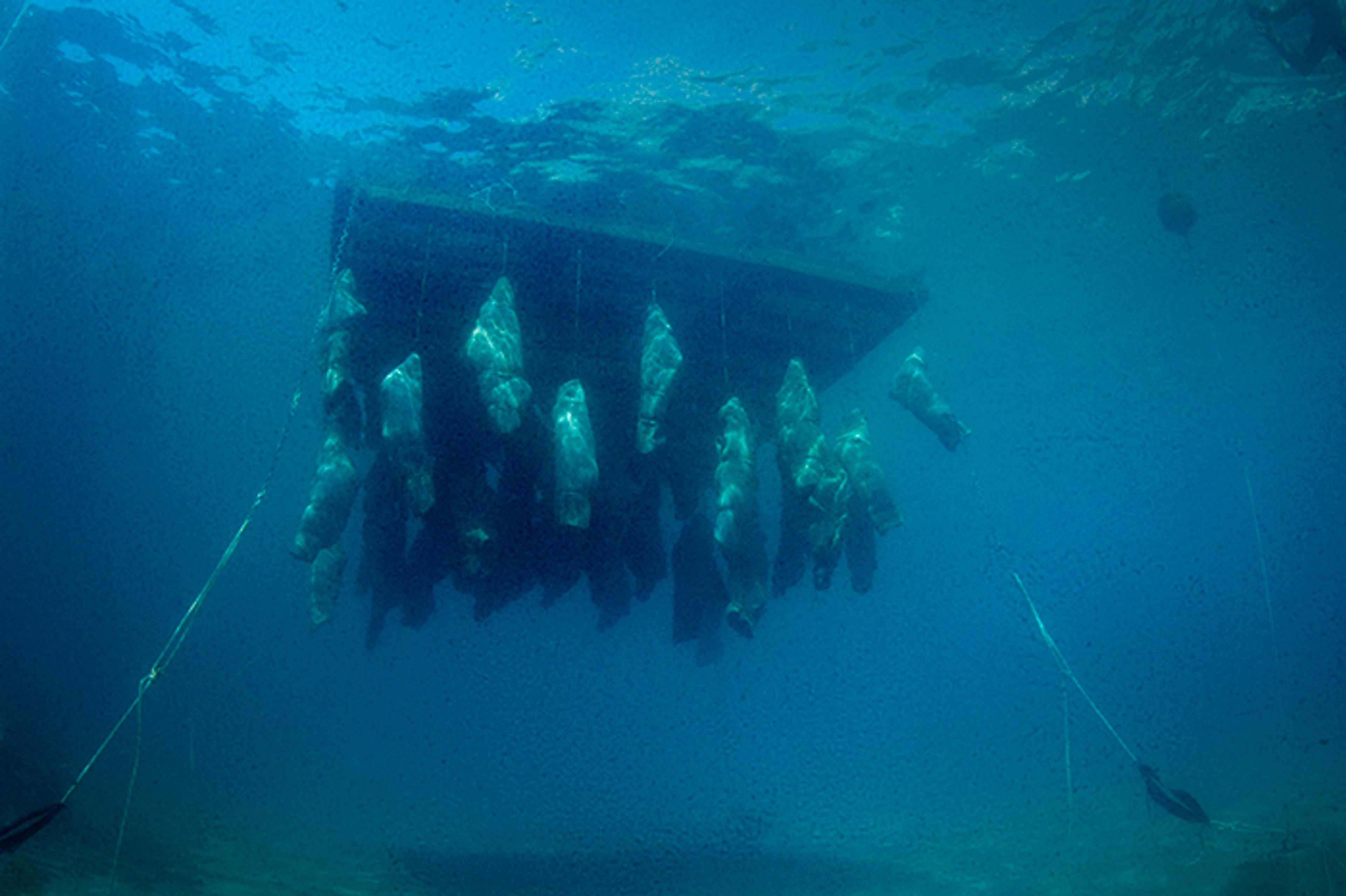 Nikolaj Bendix Skyum Larsen, End of Dreams , 2015 Sculptures hanging under raft Photo: Domenico Gallelli (2014)