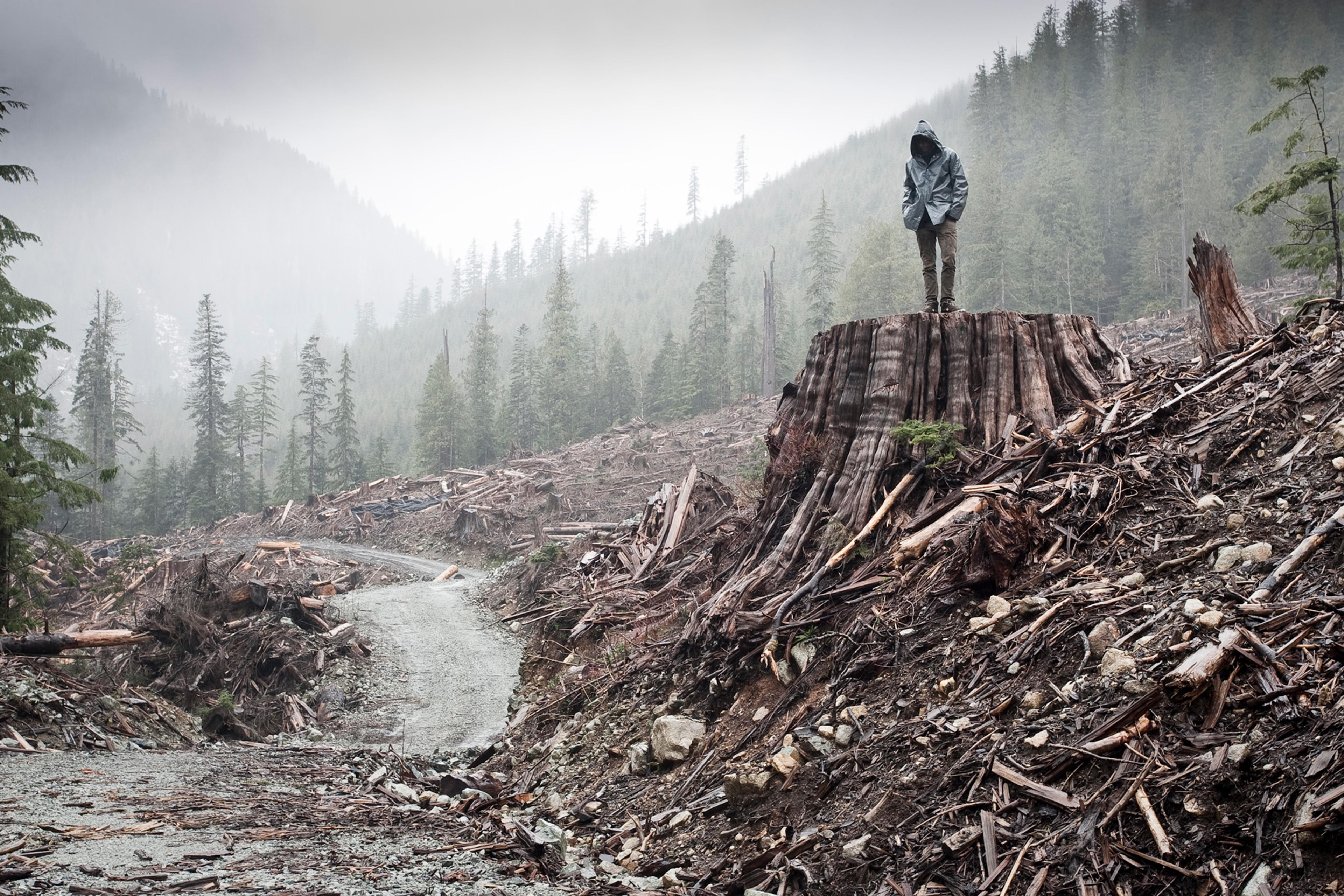Still from If A Tree Falls: A Story of the Earth Liberation Front (2011) ©Bullfrog Films