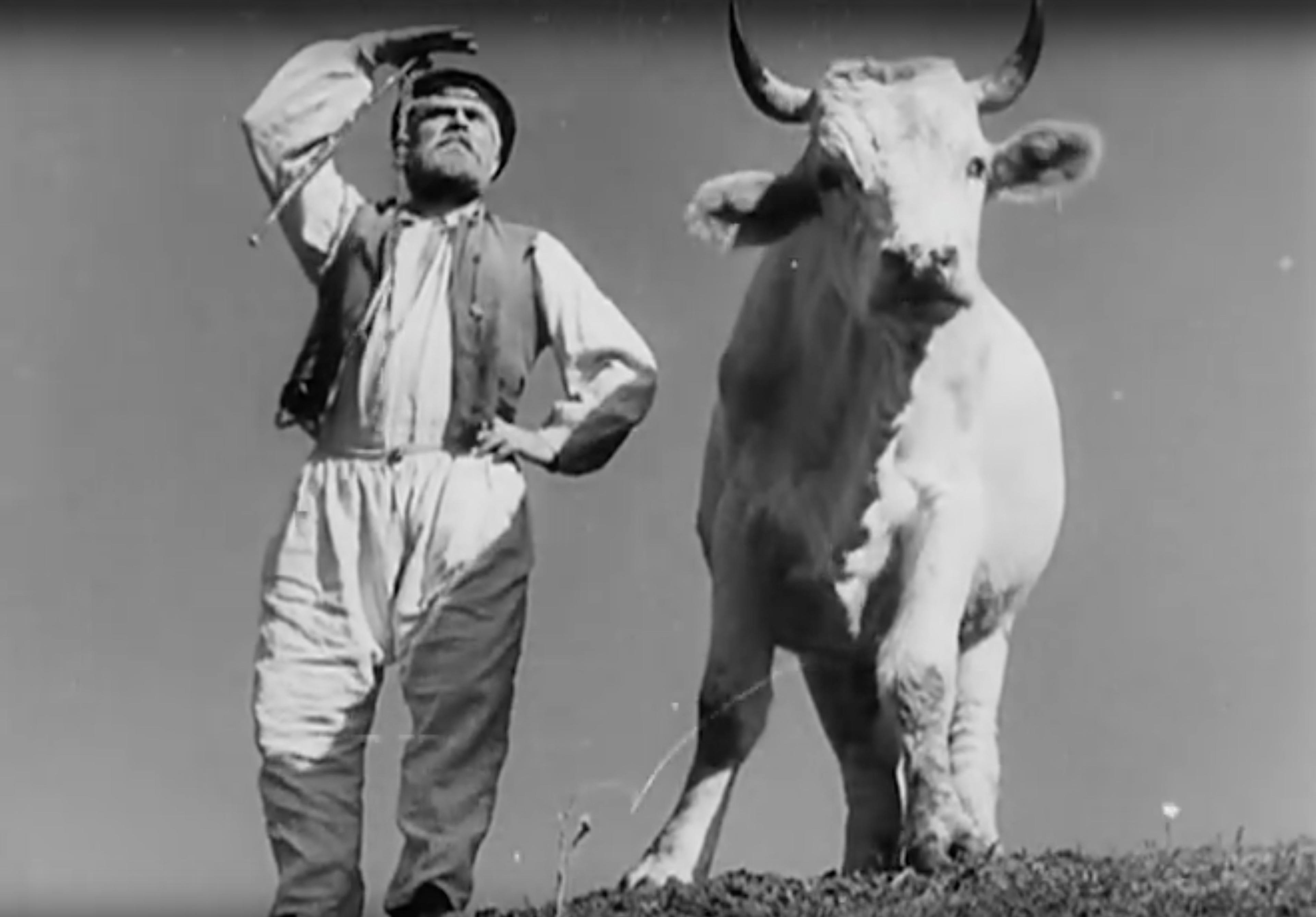 Zemlya [Toprak] (1930) filmden bir kare