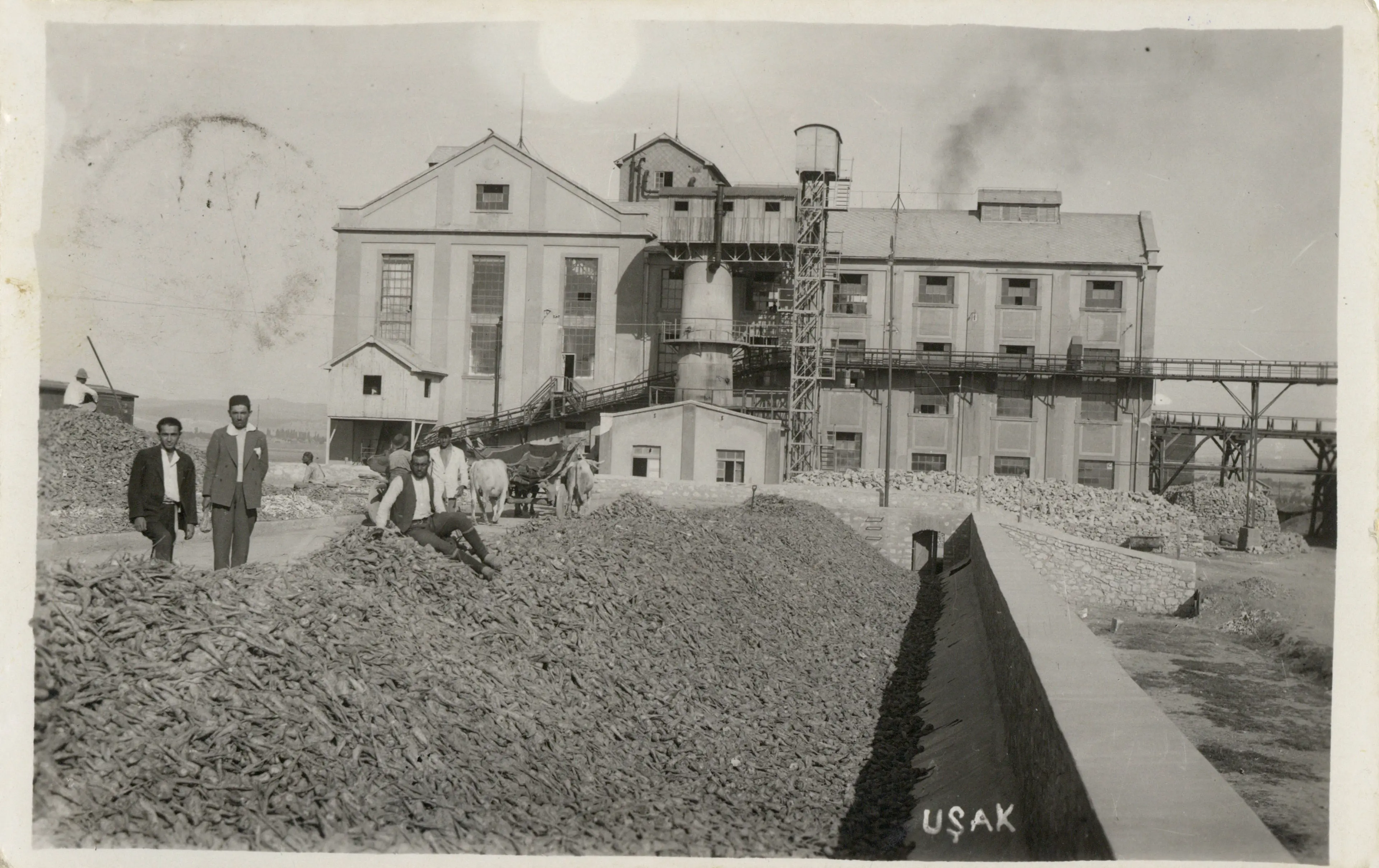 Uşak Sugar Factory Salt Research, Photograph and Postcard Archive