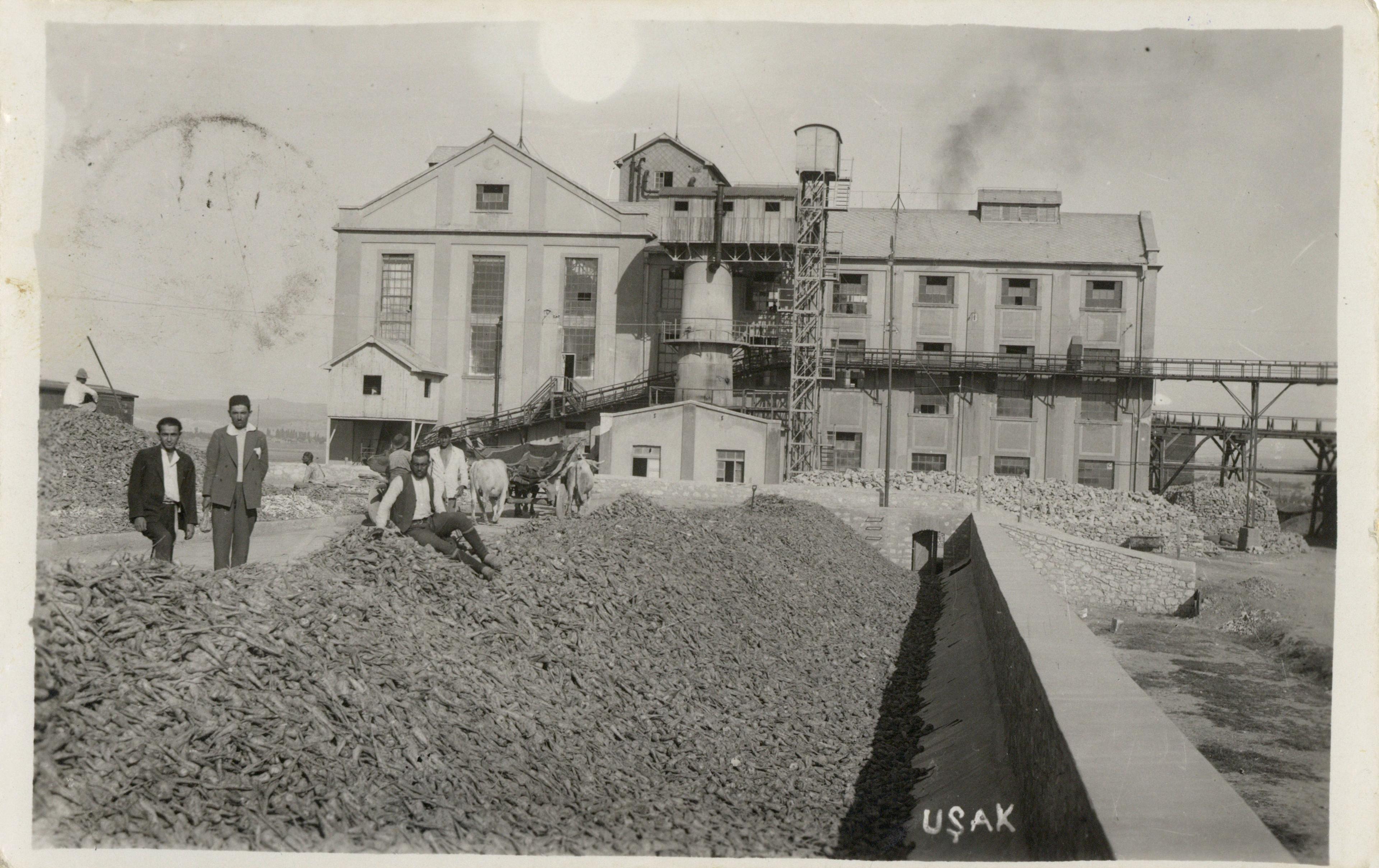 Uşak Sugar Factory Salt Research, Photograph and Postcard Archive