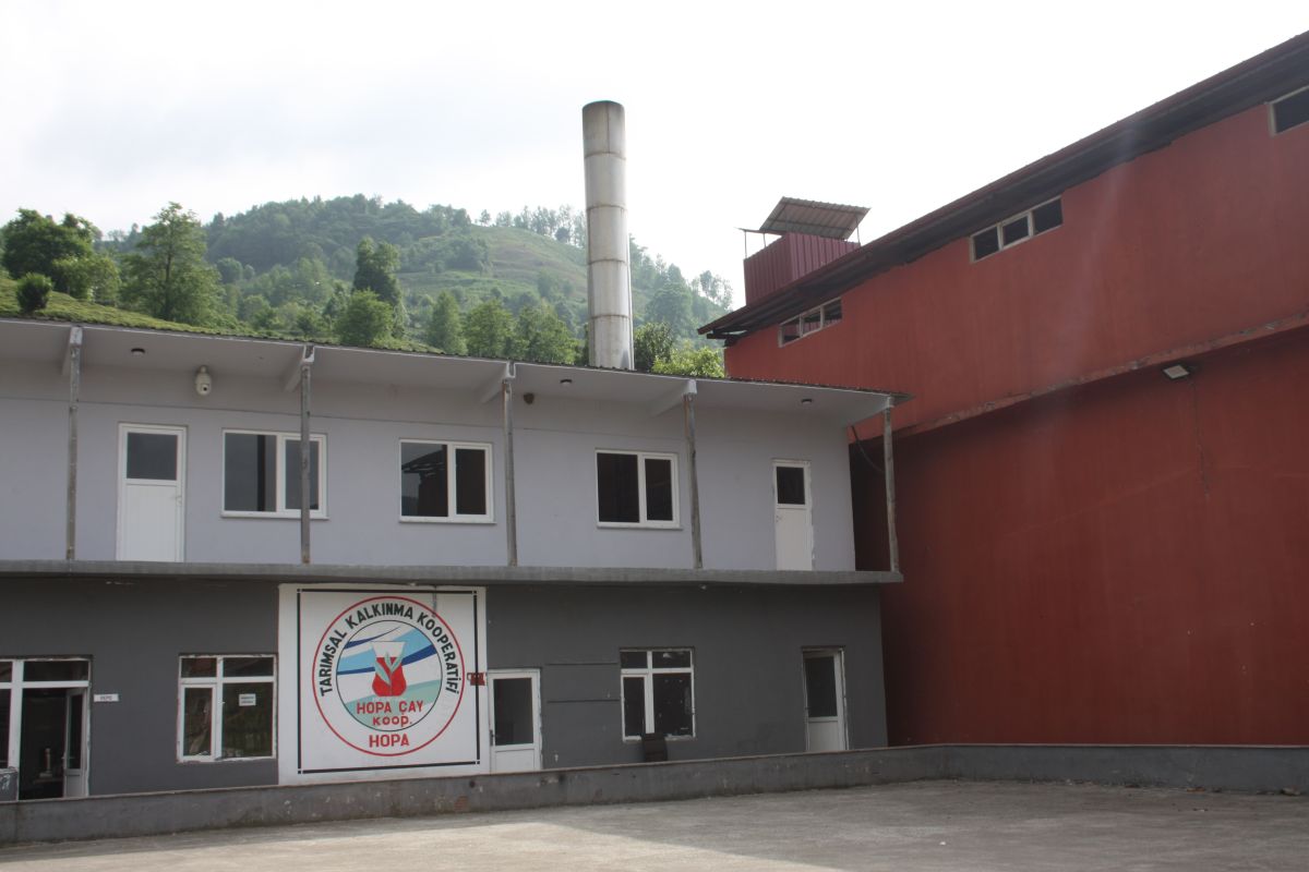 13 Hopa Cay Kooperatifi Fabrikasi Hopa Çay Kooperatifi Fabrikası, Kemalpaşa, 3 Haziran 2022<br />
Fotoğraf: Ayça Yüksel