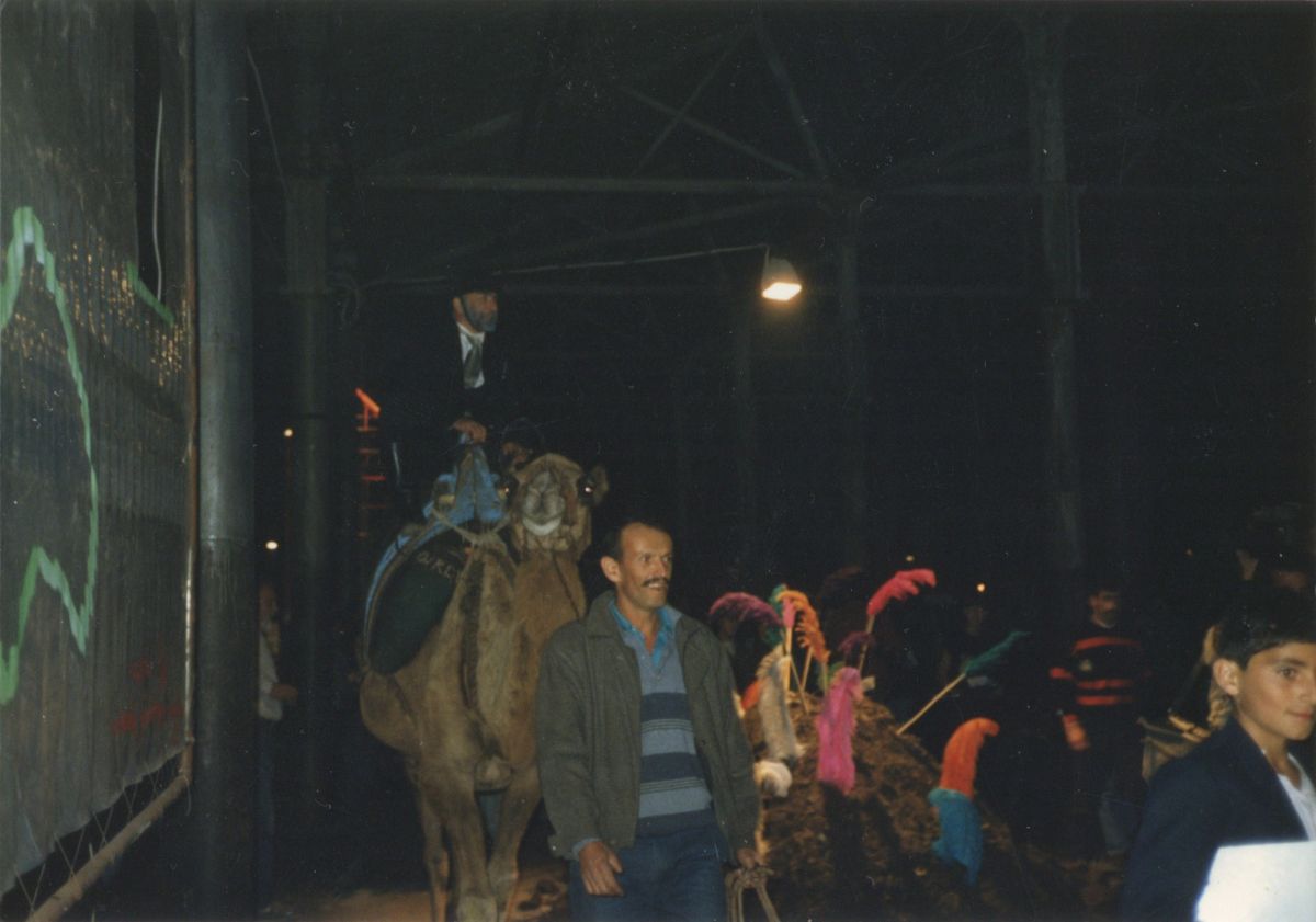 2 Mehmet Guleryuz 001 Mehmet Güleryüz, <i>Seretonin I</i> sergisinde (1989) deve üstünde <br />
Sanatçının izniyle<br />
