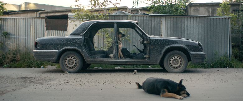 4 Spacedogs <i>Space Dogs</i> [Uzay Köpekleri] (2019) filminden bir kare 
©Deckert Distribution GmbH