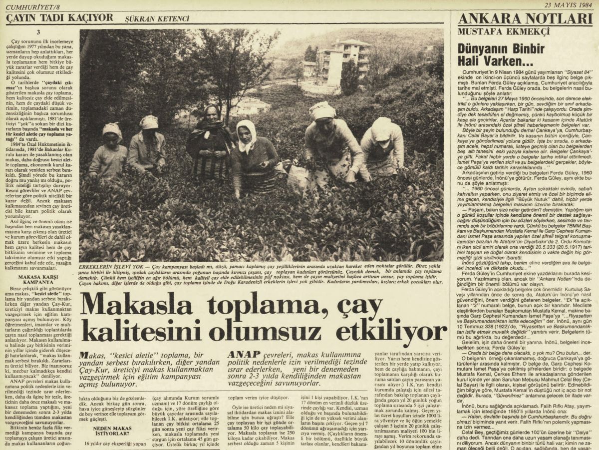 7 Sukran Ketenci Cayin Tadi Kaciyor Cumhuriyet Şükran Ketenci, “Çayın Tadı Kaçıyor”,  <i>Cumhuriyet </i>, 23 Mayıs 1984, s. 8