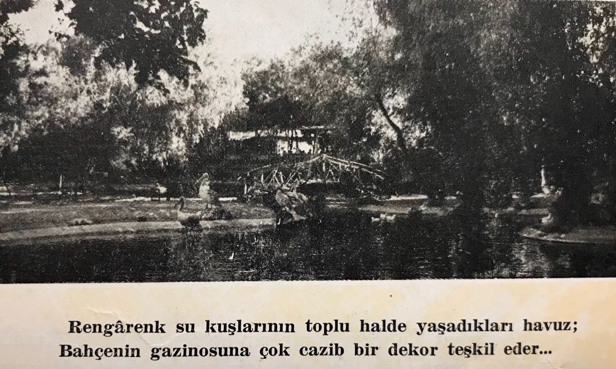 Gorsel 6 2023 07 28 00 11 Türkiye Cumhuriyeti Tarım Bakanlığı, <i>Atatürk Orman Çiftliği</i>, İstanbul: İstanbul Matbaası, 1953, s. 53<br /><br />
