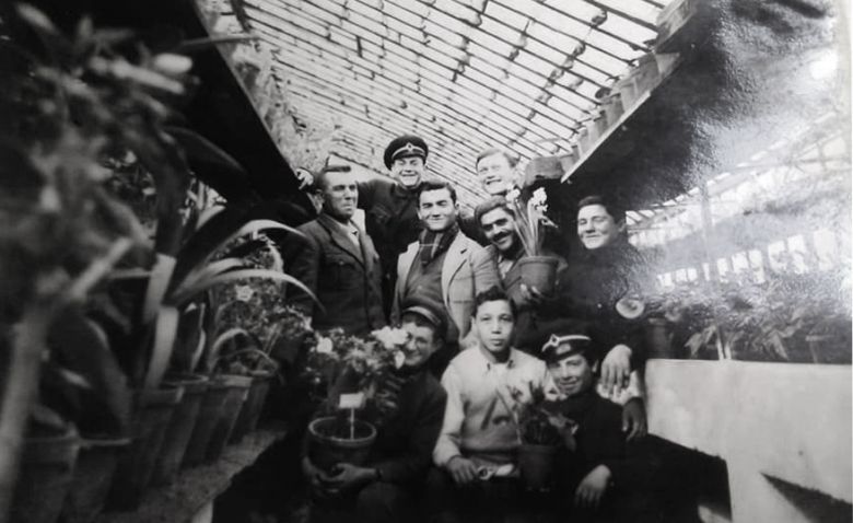 Gorsel 1 3 Büyükdere Fidanlığı’nda çiçek serası, İstanbul, 1947
Fatma Gülay Uçan Arşivi