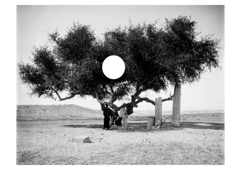 Gorsel Image 1 Basma Alsharif’in <i>A Philistine</i> [Bir Filist] (2019) enstalasyonundan bir fotoğraf
Sanatçı ve Paris’teki Galerie Imane Farès’in izniyle