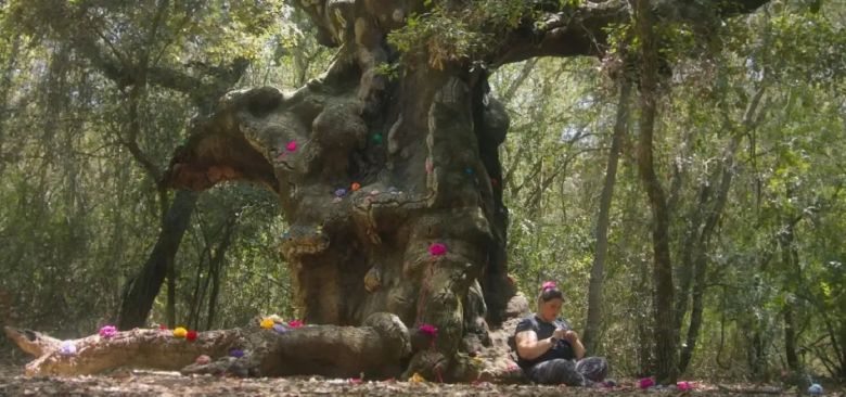 Imgi 30 Valentina And The Muosters Still E1760542103710 <i>Valentina e i MUOStri</i> [Valentina ve MUOS Canavarları] (2024) filminden bir kare
©Mark Olexa, Ivan Olgiati, Chiara Galloni