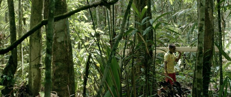 Walden Press <i>Walden</i> (2018) filminden bir kare
©Beauvoir Films Geneva – Aline Schmid ve Adrian Blaser