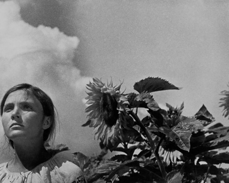 Zemlya 1930 <i>Zemlya</i> [Toprak] (1930) filmden bir kare